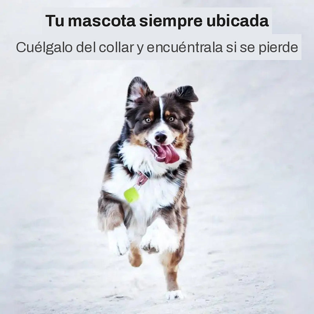 GPS para Mascotas – foto 3