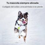 GPS para Mascotas – foto 3