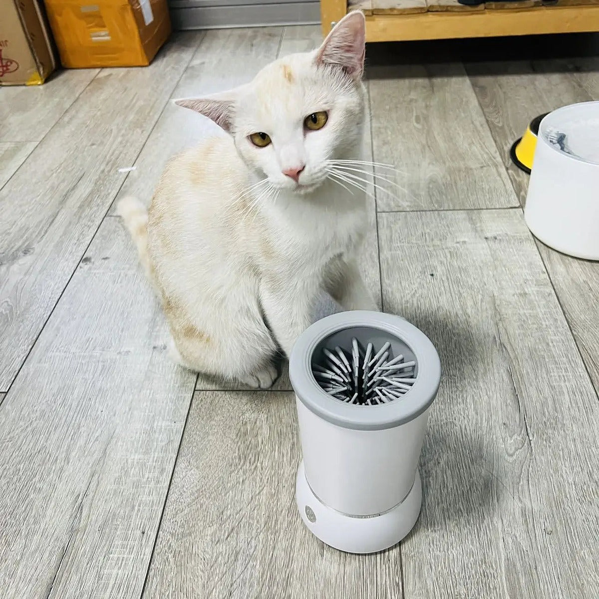 Lavapatas Eléctrico para Mascotas – foto 3